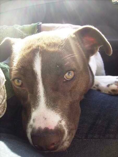 Photo May 24, 4 37 42 PM